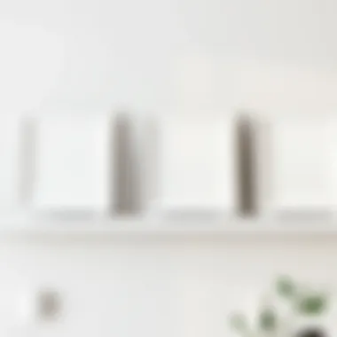 Elegant arrangement of three white picture frames on a minimalist shelf