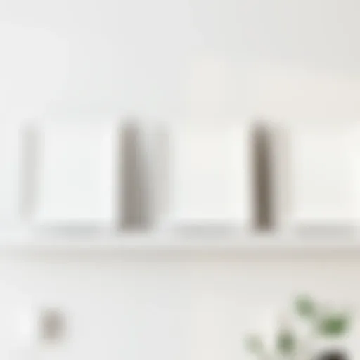 Elegant arrangement of three white picture frames on a minimalist shelf