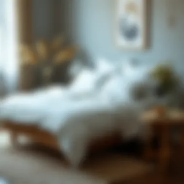 Eco-Friendly Cotton Sheet Options Eco-friendly cotton sheet options