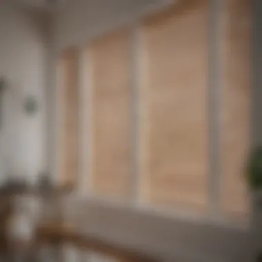 Variety of 58 Inch Blinds Elegant selection of various 58 inch blinds showcasing different materials and styles