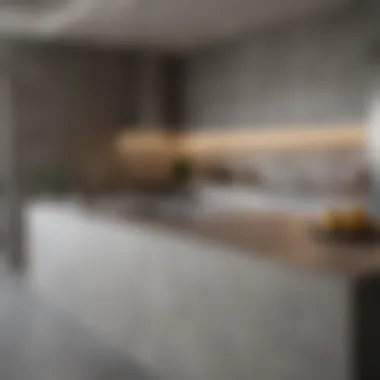Elegant Concrete Look Kitchen Design Elegant kitchen featuring concrete look countertops