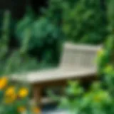 Rustic wooden garden bench surrounded by lush greenery