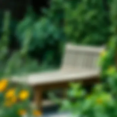 Rustic wooden garden bench surrounded by lush greenery