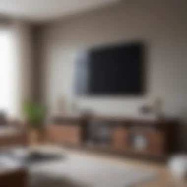 Contemporary Minimalist Design for Media Storage Modern minimalist DVD and Blu-ray storage cabinet in a living room setting