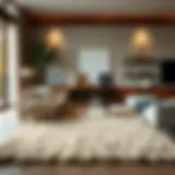 Luxurious wool area rug in modern living room setting