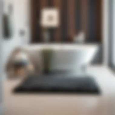 Stylish bath mat set in a contemporary bathroom design