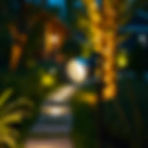 Illuminating Garden Paths with Elegance Stylish battery operated spotlight illuminating a garden path