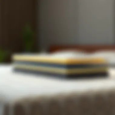 Innovative Design Illustration of the layered structure of a memory foam bed topper