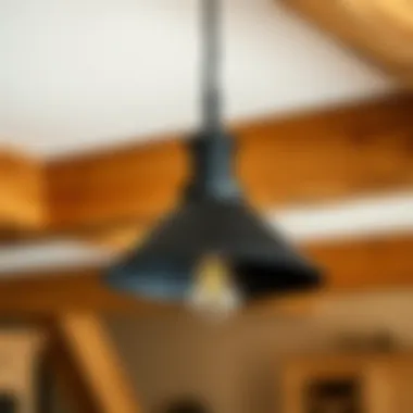 Close-up of textured black light fixture against wooden beams
