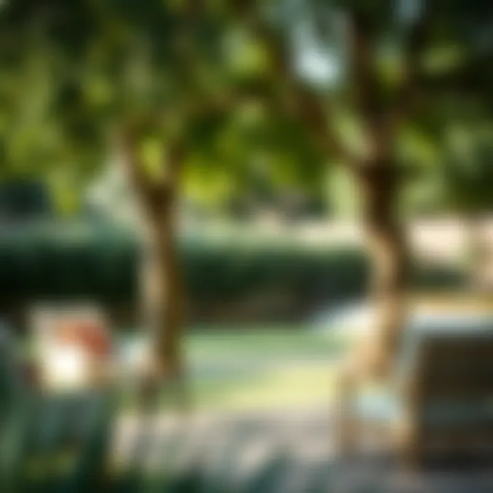 Stylish outdoor lounge chair set under a tree