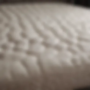 Luxurious latex mattress showcasing its surface texture and comfort