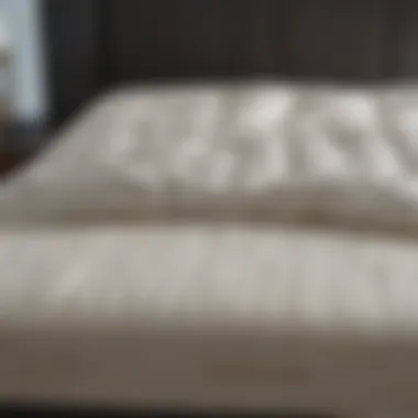 Understanding Latex Variations Diagram highlighting different types of latex used in mattresses