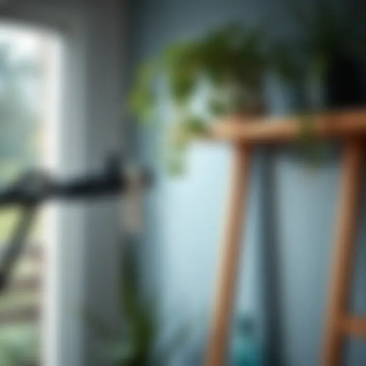 Long reach indoor plant waterer in action watering a high shelf plant