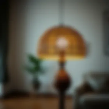 Exploring Rattan Floor Lamp Shades: A Comprehensive Guide Summary