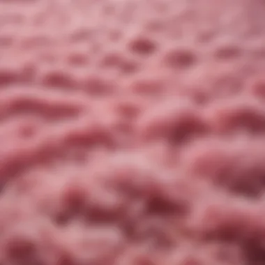 Close-up of pink furry carpet texture