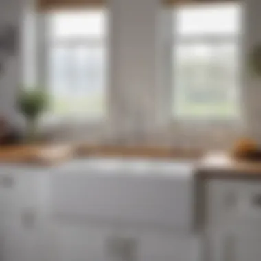 Aesthetic Appeal of Apron Front Double Bowl Sink Aesthetic appeal of apron front double bowl sink enhancing kitchen decor