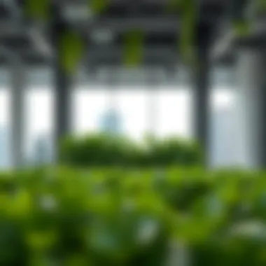 Exploring the Benefits and Applications of Greenery Privacy Panels Summary Exploring the Benefits and Applications of Greenery Privacy Panels Summary