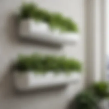 Elegant Wall Mounted Planters Elegant wall mounted planters showcasing diverse plant species in a contemporary outdoor setting