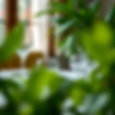 Exploring the Elegance and Functionality of Clear Glass Dinner Sets Summary Exploring the Elegance and Functionality of Clear Glass Dinner Sets Summary