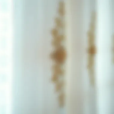 Close-up of intricate embroidery on sheer fabric