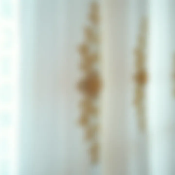 Close-up of intricate embroidery on sheer fabric