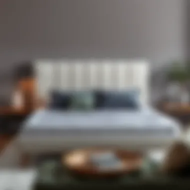 Contemporary Upholstered Flat Top Bed Frame Contemporary flat top bed frame with upholstered details