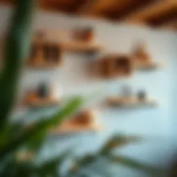 Exploring the Potential of Free Hanging Wall Shelves Introduction
