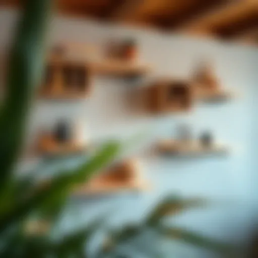 Exploring the Potential of Free Hanging Wall Shelves Introduction