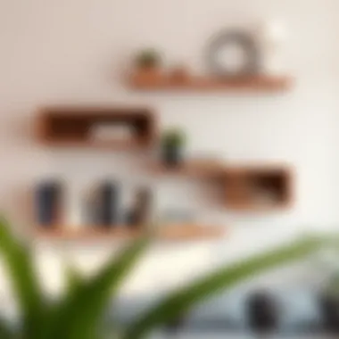 Notable Exploring the Potential of Free Hanging Wall Shelves