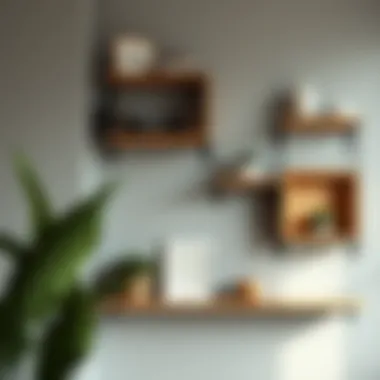 Exploring the Potential of Free Hanging Wall Shelves Summary