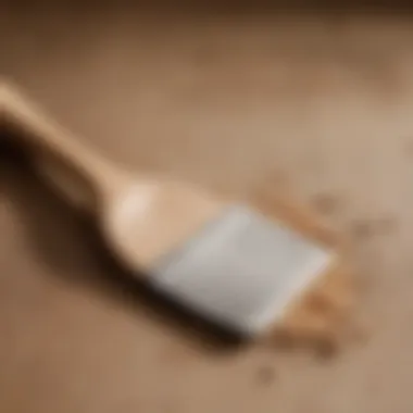 Grain Detail of Beech Wood Spatula Elegant beech wood spatula showcasing grain detail