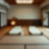 Exploring Twin Size Tatami Mats: A Comprehensive Guide Introduction