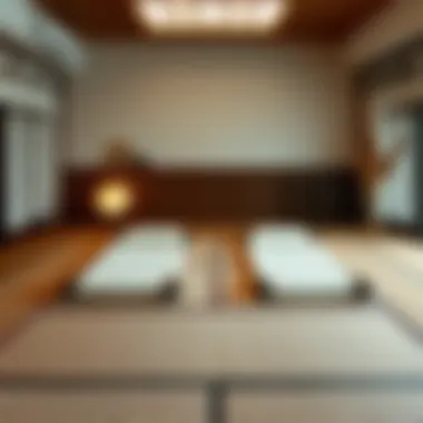 Exploring Twin Size Tatami Mats: A Comprehensive Guide Introduction