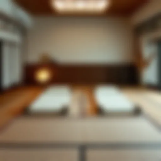 Exploring Twin Size Tatami Mats: A Comprehensive Guide Introduction