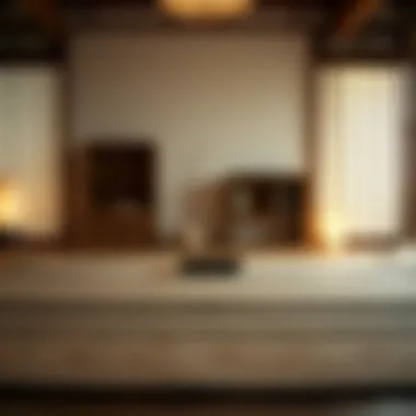 Exploring Twin Size Tatami Mats: A Comprehensive Guide Summary