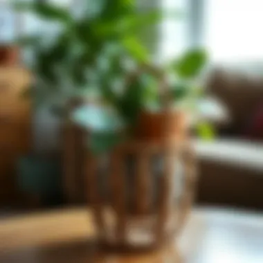 Rustic wooden basket serving as a stylish plant holder