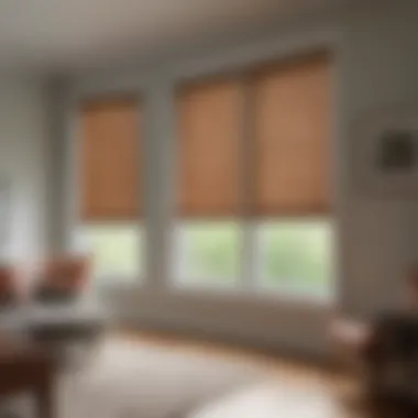 Customization Options for Motorized Window Treatments Diverse styles of motorized blinds for customization