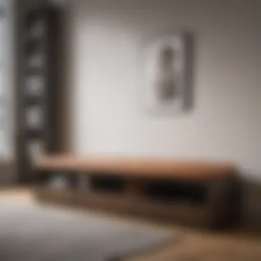 Versatile Contemporary Long Bench with Storage Contemporary long bench with storage options