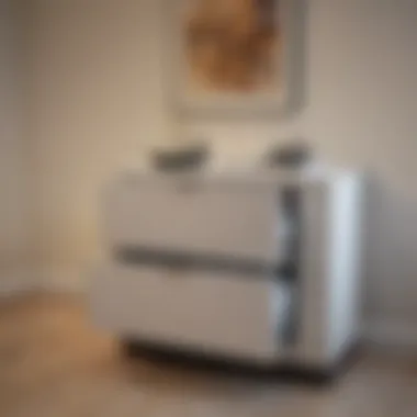 Maximizing Efficiency in Professional Environments Versatile lateral file cabinet in a professional setting