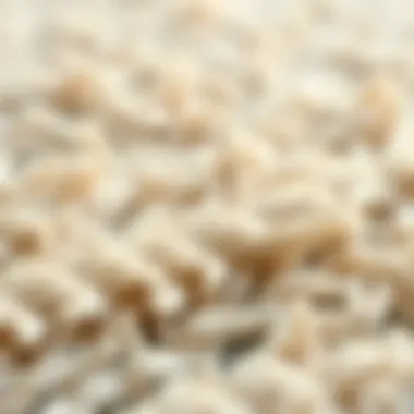 Close-up view of the intricate fibers of the Safavieh Athens shag rug