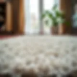 Luxurious texture of Safavieh Athens shag rug