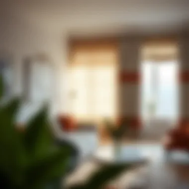 Installation Tips for Shades and Curtains Infographic on installation tips for shades and curtains