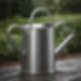 Elegant stainless steel watering can with a sleek design