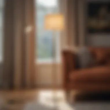 Explore Diverse Styles of Floor Lamps Diverse styles of floor lamps in a cozy living room
