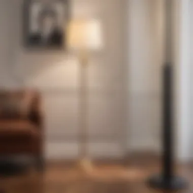 Essential Maintenance Tips for Floor Lamps Maintenance tips for prolonging the life of floor lamps