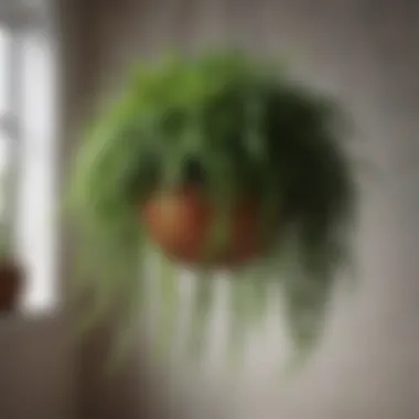 Detailed View of Artificial Hanging Plant Close-up of a vibrant artificial hanging plant showcasing realistic details