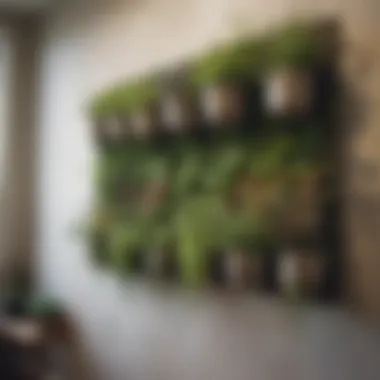 Creative Indoor Wall Garden Creative indoor wall garden with various herbs