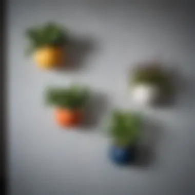 Stylish Wall-Mounted Pots Stylish wall-mounted pots with vibrant plants