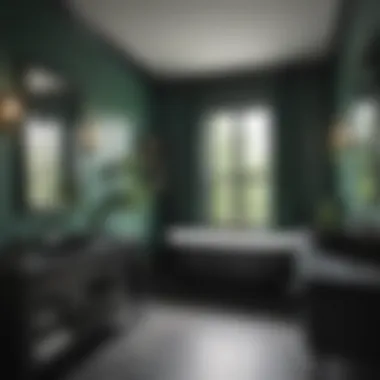 Elegant Green and Black Bathroom Design Elegant green and black bathroom with modern fixtures