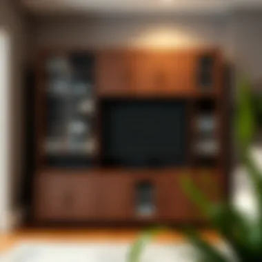 Notable The Comprehensive Guide to DVD Media Storage Cabinets with Doors